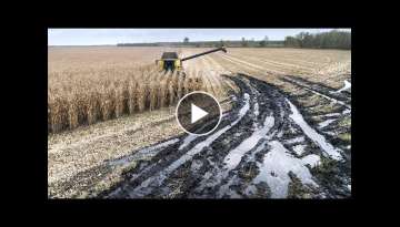 EXTREM CONDITIONS Harvest in FRANCE | Twin Wheels tractor & 12 rows corn harvester