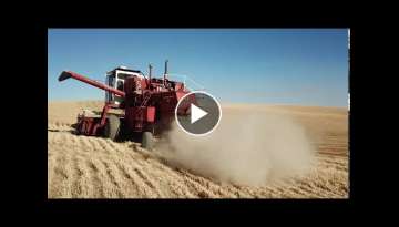 Schlomer Farms Finishing Harvest in Classic Style