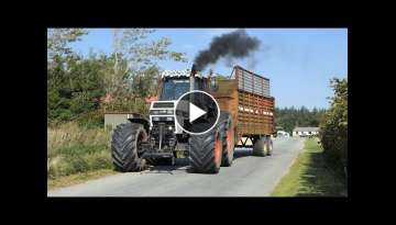 Case 2294 working hard in the field during silage season 2020 | PURE SOUND | Danish Agriculture