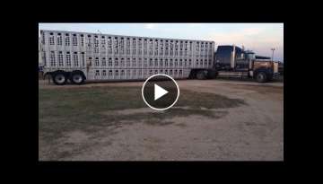 43. How A Big Truck Cattle Trailer Works