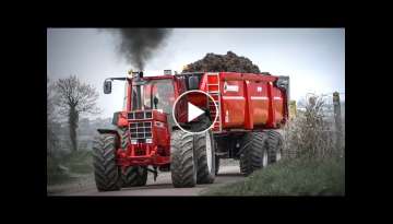 IH 1455XL + CHEVANCE - Transport de fumier/manure