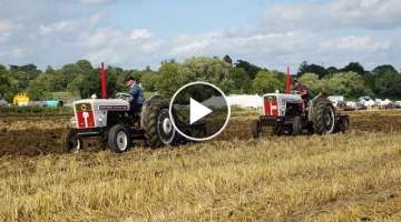 David Brown 990 and 880 ploughing.
