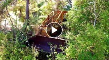 Cat D2 Bulldozer broke down in a forest 13 years ago. Can we save it?