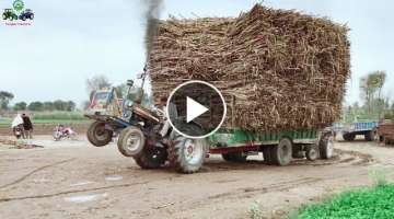 Ford 4600 Stunt Pulling Heavy Loaded Trolley of SugarCane 