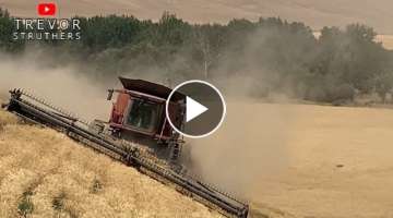 Bouncing and sliding combines - Grain Hogs S02 EP03