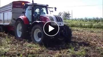 Trinciato Mais 2014. Claas Jaguar 960, Steyr CVT 6225 impantanato e Fendt 412