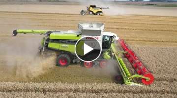 42 METER HARVEST in the same field | LEXION 8900 & CR 10.90 | FRANCE 2021
