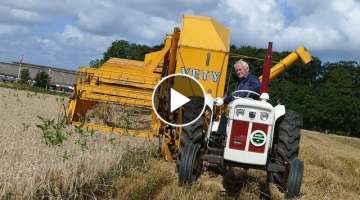 David Brown 880 Selectamatic Harvesting w/ VETY Vestjyden Combine Behind | Danish Agriculture