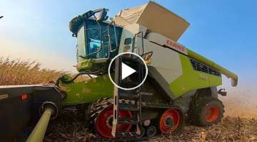 This giant Claas LEXION 8700 showed up at our farm in Iowa.