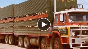 Old Livestock Trucks New Zealand