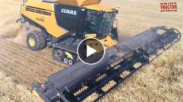 CLAAS Lexion 780TT Combine Harvesting Wheat