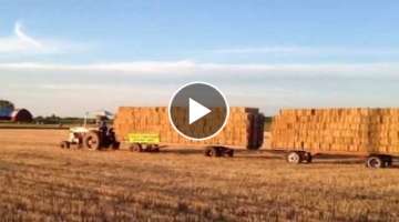 IHC 1206 Tractor Pulling 20 Loaded Hay Racks - Chuck Timm