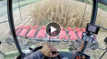 Cab View | Claas Lexion 570 + Capello Diamant 8 Rows | Mais Harvest