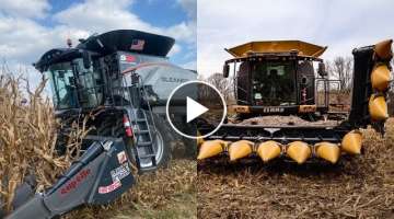 Gleaner vs Claas Lexion harvesting corn