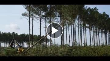 Swamp Monster | Long Bay Trucking Inc. | John Deere Forestry