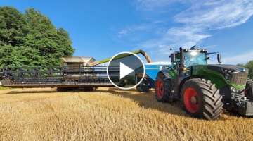 NEW CLAAS LEXION 8600 / Wheat Harvest Begins! / DRONE FOOTAGE