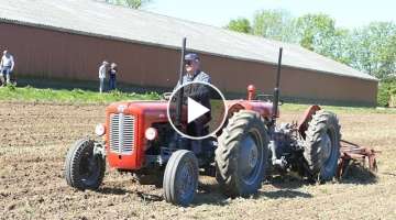 Massey Ferguson 35 Tandem Cultivating The Field w/ MF Disc Cultivator | Ferguson Days 2017