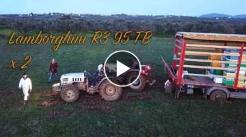 2 x Lamborghini R3 95 vs Big truck