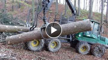 Timberjack - Old Spruce - Alte Fichte